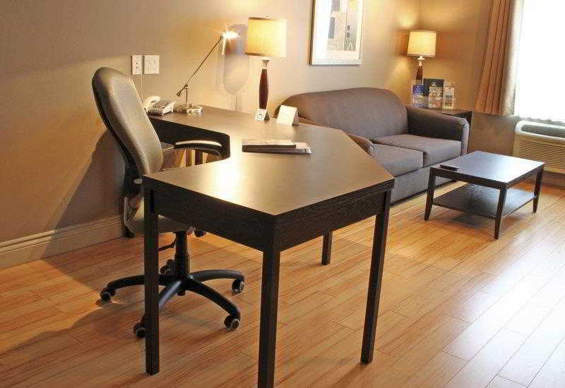 Best Western Plus Moncton Chambre photo